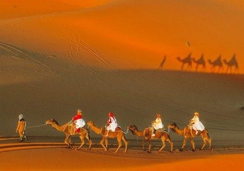 desert-tours